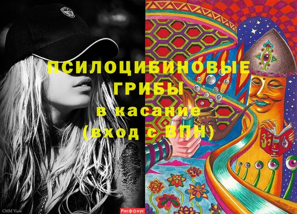 МДПВ Горнозаводск