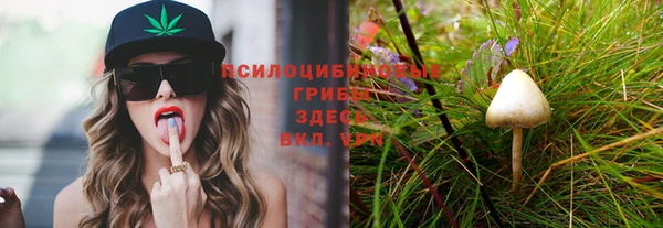 бутират Горно-Алтайск