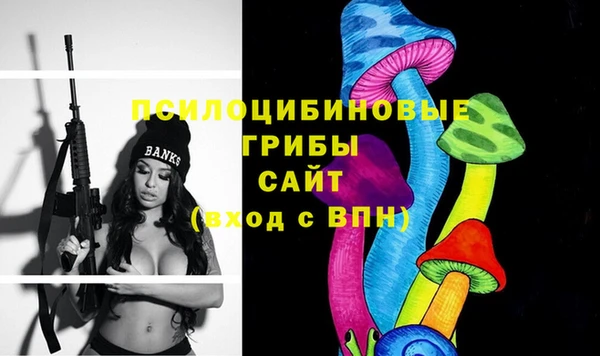 МДПВ Горнозаводск
