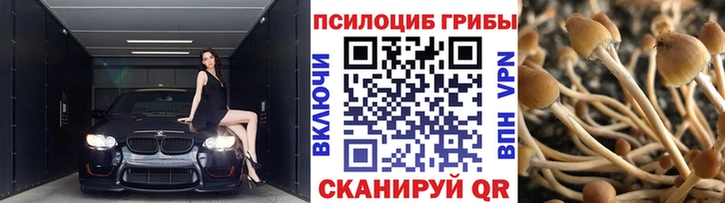 OMG как зайти  Горнозаводск  Галлюциногенные грибы ЛСД 